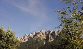 Tocht Te voet Cortina d'Ampezzo - Hotel Serena - Mandres - Lago Scin - Photo 3