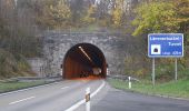 Percorso A piedi Gomadingen - Lämmerbuckel Laichingen - Photo 3