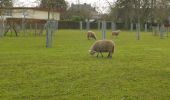 Tour Wandern La Londe - 20200303-la Londe cool  - Photo 8