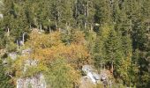 Tour Wandern Pralognan-la-Vanoise - Retour du col de la vanoise - Photo 3