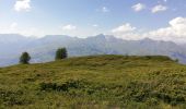 Trail Walking Bourg-Saint-Maurice - Rando avec Océane  - Photo 4