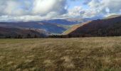 Trail Walking Fellering - Markstein - Photo 2