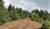 Tour Wandern Saint-Genès-Champanelle - puy de labassol, puy de la vache depuis la cassièrre  - Photo 9