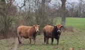 Tocht Stappen Pré-en-Pail-Saint-Samson - Saint-Samson - Boucle des Vallées - Photo 2