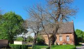 Tour Zu Fuß Märkische Heide - Wanderweg Barbassee-Briesener See-Caminchen-Klein Leine- Klein Leiner See - Photo 1