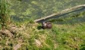 Percorso A piedi Lelystad - Lelystad-Oostvaardersbos-Knarbos - Photo 1