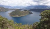 Tour Wandern Quiroga - laguna Cuicocha - Photo 14