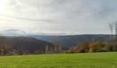 Tour Wandern Pepinster - Randonnée à Pepinster  - Photo 16