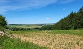 Tocht Stappen Bastenaken - Bastogne Mesa 280624 - Photo 14