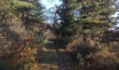 Trail Walking Unknown - Gilhac et Bruzac - Photo 2