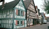 Percorso A piedi Steinau an der Straße - Gebietswanderweg Rotes Dreieck, Steinau - Zubringer Eselsweg - Photo 3