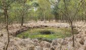 Randonnée A pied Kalbe - Rund um Heidenau-Kalbe Wanderweg - Photo 4