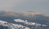 Tour Zu Fuß Unknown - Baraj Colibița-Piatra lui Orban-Sat Mița - Photo 5