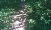 Trail Walking Antonne-et-Trigonant - Lanmary  variente 1 - Photo 1