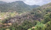 Tour Wandern Caniçal - Machado avec transfert de bus au milieu - Photo 4