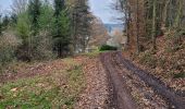 Trail Walking Vieux-Moulin - Balade autour de Vieux Moulin en passant par Machimont - Photo 11