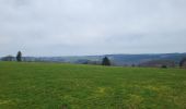 Trail Walking Bouillon - Cornimont 100324 - Photo 10