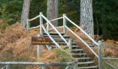 Tour Zu Fuß Casali del Manco - (SI U20) Rifugio Monte Botte Donato - Camigliatello Silano - Photo 9