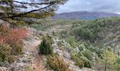 Trail Walking Moustiers-Sainte-Marie - Moustier saine Marie 11,4 km - Photo 10