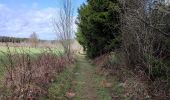 Randonnée Marche Gouvy - La promenade des bornes frontière - Photo 11