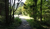 Tocht Stappen Die - Le Dôme ou Pié Ferré de l'Abbaye Valcroissant - Photo 1