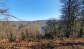 Trail Walking Florenville - rando herbeumont 8-03-2022 - Photo 8