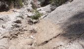 Trail Walking Ollioules - Gorges de Destel - Photo 3