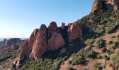 Tour Wandern Saint-Raphaël - cap roux  - Photo 3