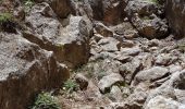 Excursión Senderismo Κοινότητα Ζαροῦ - Lac de Votomos à la chapelle d'Agios Loannis (rother n°44) - Photo 14