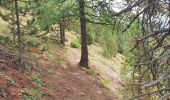 Randonnée Marche Ceillac - Boucle crête du Riou Vert et  Col de Bramousse - Photo 14