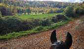 Trail Equestrian Charleville-sous-Bois - Wikiloc - Gondreville - Les secrets des bois - Photo 20