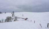 Tocht Te voet Sebnitz - Hinterhermsdorfer Rundweg - Photo 3