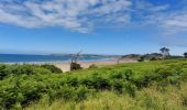 Tour Wandern Erquy - POINTE DE PLENEUF DEPUIS LE CAMPING LA VALLÉE  - Photo 19