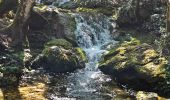 Trail Walking Nans-les-Pins - De Nans les pins vers les sources de l'Huveaune - Photo 10