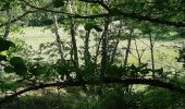 Randonnée Marche Pontgibaud - LA CHEIRE DE PONTGIBAUD - Photo 18