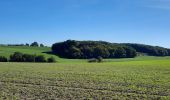 Tour Wandern Villers-Outréaux - Villers Outreaux De Marliche au moulin de Brunet - Photo 2