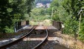 Tour Zu Fuß Naila - Froschgrüner Weg OS 44 - Photo 2