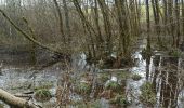 Tour Wandern Belmont - 25-01-25 : Belmont, l'Angle du Bonheur, la Corbière - Photo 5