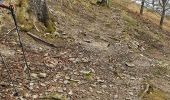 Trail Walking Ferrère - départ Ferrere , Ourde sortie du bois Douly redescende normale rando perso avec Michelle - Photo 2
