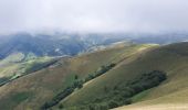 Tocht Stappen Larrau - iraty pic des escaliers - Photo 3