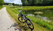 Trail Mountain bike Florennes - SityTrail - Flavion etc - Photo 1