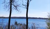 Tocht Stappen Froidchapelle - La balade du grand cerf aux lacs de l’eau d’heure  - Photo 2