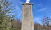 Tour Wandern Saint-Étienne - Château de Rochetaillé  - Photo 3