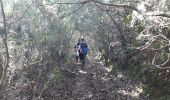 Tour Wandern Pierrefeu-du-Var - Pierrefeu  - Photo 2