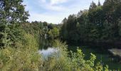 Randonnée Marche Waimes - Barrage de Robert Ville et Château Steinhart - Photo 10