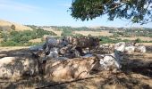 Randonnée Marche Laguiole - le roc des cabres - Photo 7