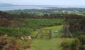 Trail On foot The Municipal District of Dundalk - Carlingford - Barnavave - Photo 4