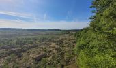 Tocht Stappen La Roche-en-Ardenne - rando ornitho fagne bellemeuse 20-05-2023 - Photo 16