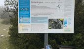 Trail Walking Aurel - Aurel 15/10/2020 - Photo 1