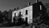 Tour Wandern Saint-Raphaël - MF Roussiveau, Malpey, Malavalettes et Charretiers - Photo 3